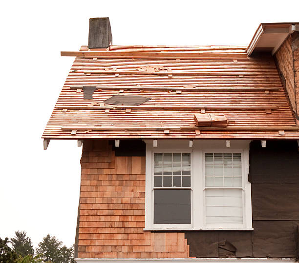 Affordable Siding Repair and Maintenance Services in Bayport, MN